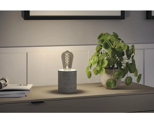 Bordslampa med Edisonglödlampa och krukväxt på byrå