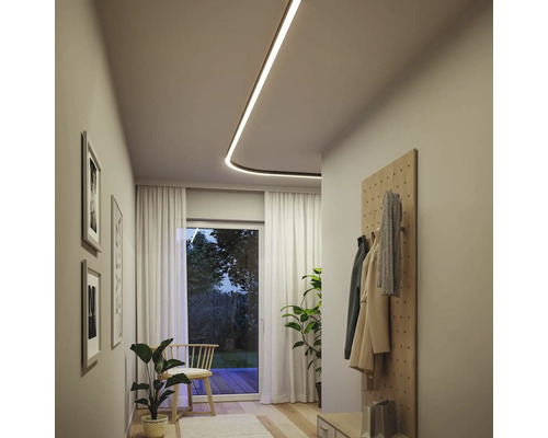 Hall med taklampa, garderob och krukväxter