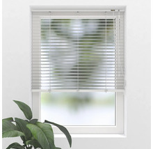 Fönster med horisontell persienn för ljusreglering