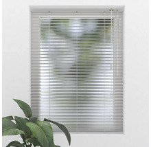 Fönster med horisontella persienner för ljusskydd och insynsskydd