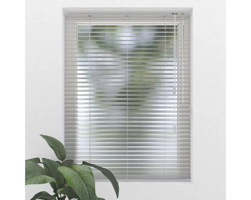 Fönster med horisontella persienner för ljusskydd och insynsskydd