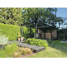 Trädgård med växter, gångväg och pergola med bar