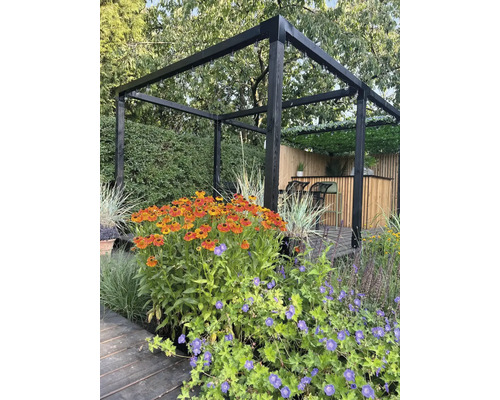 Trädgårdsscen med trädäck, blomsterrabatt och en svart träpergola.