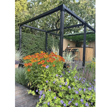 Trädgårdsscen med trädäck, blomsterrabatt och svart träpergola