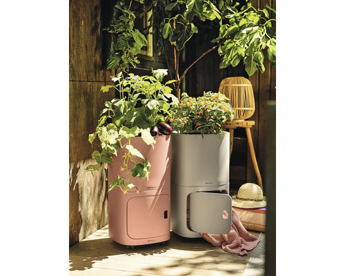 Två planteringskärl med grönsaker på en terrass.