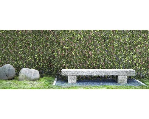 Miljöbild med konstgjord häck, stenbänk och två stenar i trädgården
