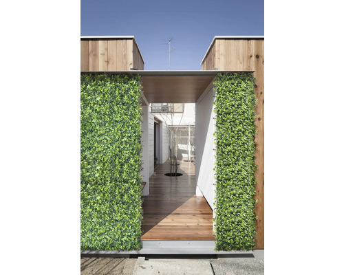 Dekorativ grön växtvägg vid en husentré med trägolv
