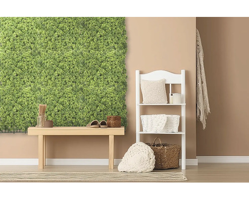 Dekorativ inredning med mossvägg, bänk och hylla