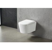 Vägghängd toalett av keramik i badrummet