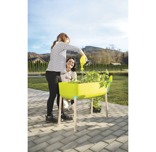 En person vattnar växter i en upphöjd rabatt med en vattenkanna medan en annan person tittar på. Trädgårdsarbete utomhus.