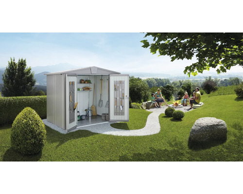 Redskapsbod BIOHORT Europa 4A 296x152cm silver-metallic