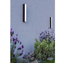 Två vägglampor lyser upp en yttervägg, omgiven av växter.