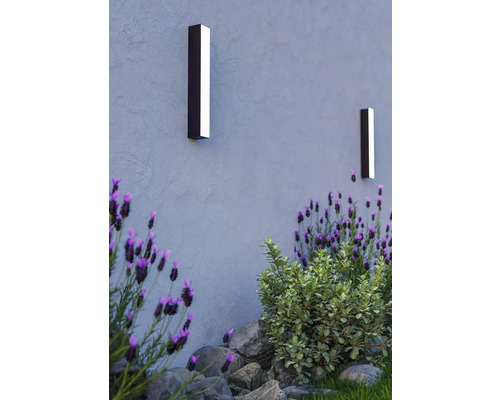 Två vägglampor lyser upp en yttervägg, omgiven av växter.