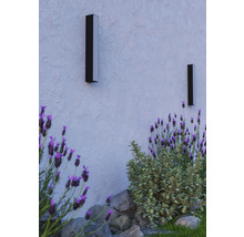 Två rektangulära utomhusvägglampor på en fasad bredvid växter