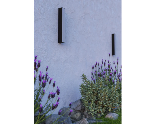 Två rektangulära utomhusvägglampor på en fasad bredvid växter