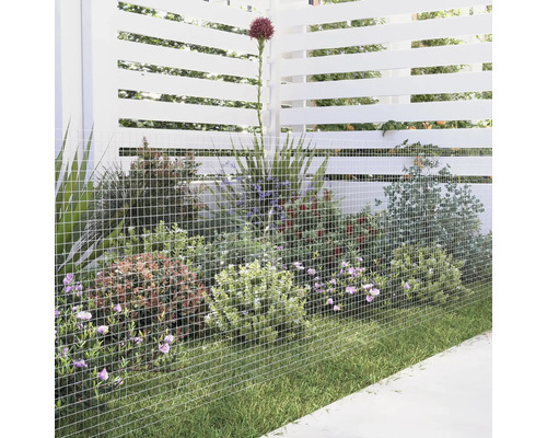 Trädgårdsscen med stängsel, växter och gräsmatta