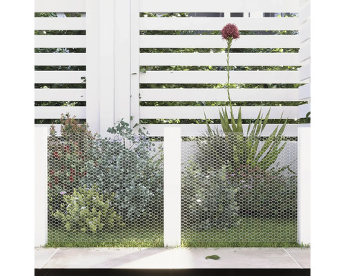 Trädgårdsscen med vitt staket, trådnät och planteringar