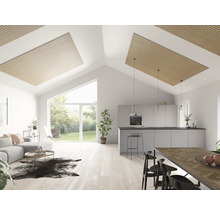 Ljust vardagsrum med öppet kök, takpaneler av trä och stora fönster