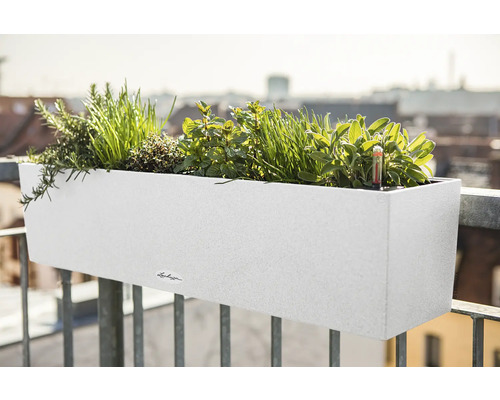 Vit balkonglåda med örter på ett balkongräcke