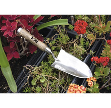 Trädgårdsspatel i rostfritt stål med trähandtag mellan växter