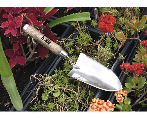 Trädgårdsspatel i rostfritt stål med trähandtag mellan växter