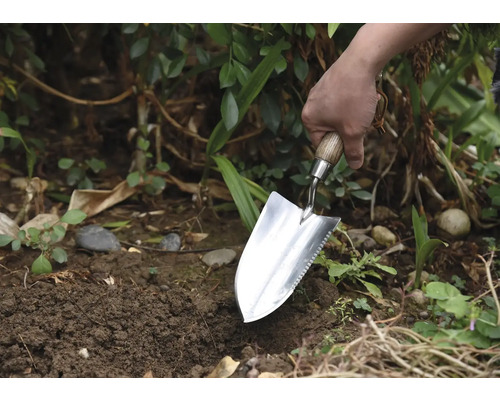 Trädgårdsmästare planterar med en planteringsspade i trädgården.
