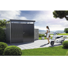 Redskapsbod BIOHORT HighLine H5 standarddörr 275x315cm mörkgrå-metallic