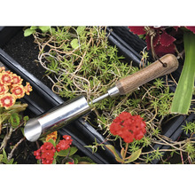 Planteringsborr av metall med trähandtag bland växter