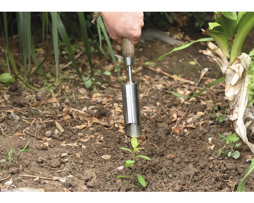 Person som planterar en planta i marken med en planteringspinne.