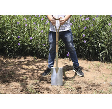 En person står med en spade med trähandtag och stålblad på ett fält med växter.