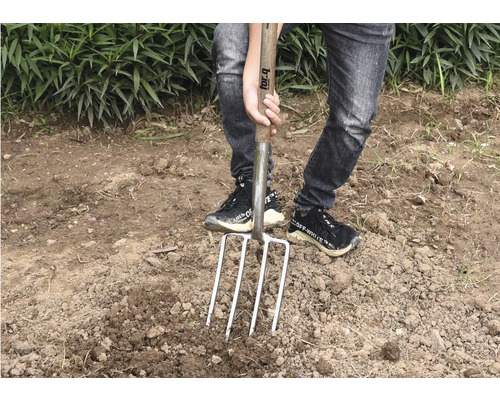 Person som sticker en spade med fyra tänder i marken, för trädgårdsarbete