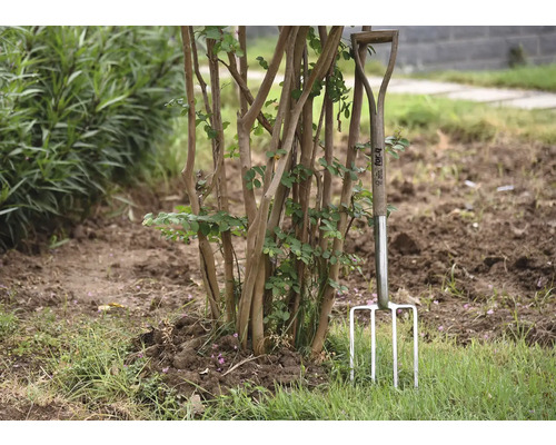 Trädgårdsgrep i stål med trähandtag står i trädgården bredvid en buske.