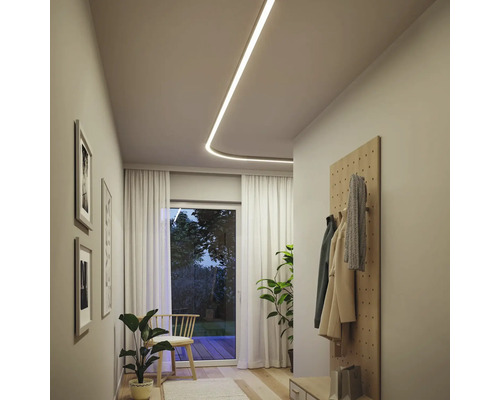 Hall med taklampa, garderob och krukväxter