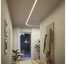 Hall med taklampa, garderob och krukväxter