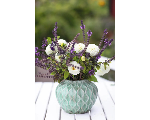 Blomsterarrangemang med dahlior och lavendel i texturerad vas