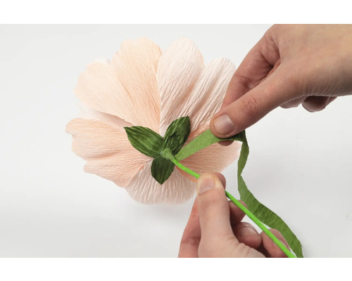 En person lindar kräppapper runt en pappersblomma.
