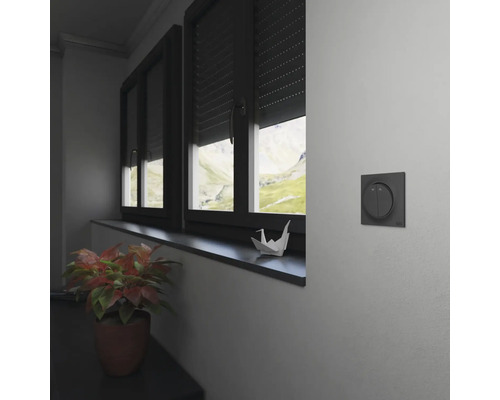 Rumsutsikt med fönster, rullgardin och ljusströmbrytare