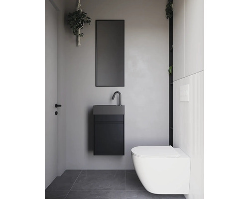 Modernt badrum med toalett, handfat, spegel och hängande växt