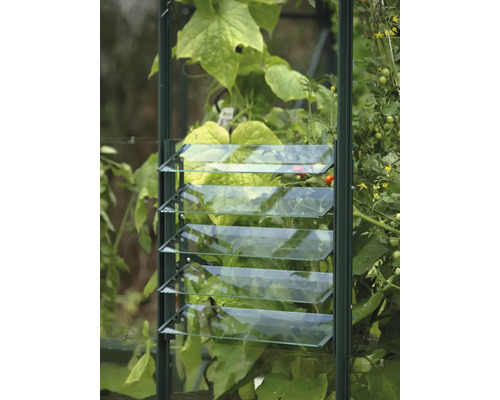 Närbild av ett växthusfönster med lameller för ventilation.