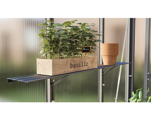 Basilika i trälåda med örtetikett och stapel med terrakottakrukor på en hylla i ett växthus