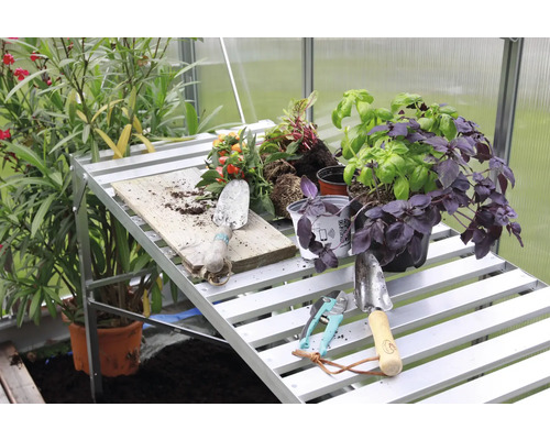 Trädgårdsscen med planteringsbord, växter och trädgårdsredskap i växthuset.