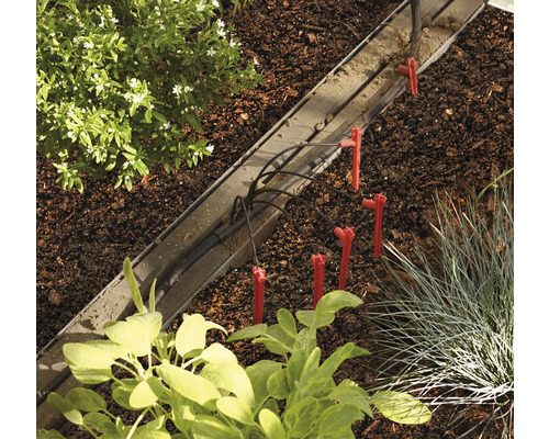 Trädgårdsbevattningssystem med droppar i en trädgårdsbädd