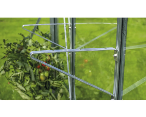 Detaljbild av ett tomatstöd i ett växthus