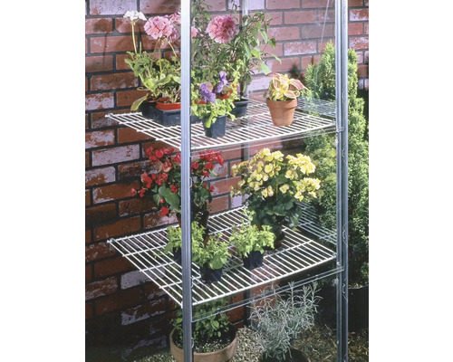 Växthusställ med olika växter på flera nivåer.