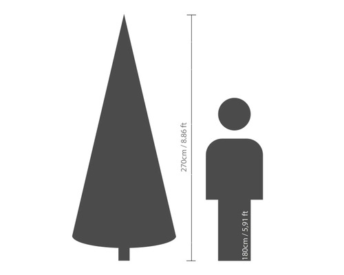 Storleksjämförelse: julgran 270 centimeter och person 180 centimeter