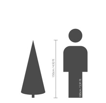 Storleksjämförelse: Träd (150 cm) och människa (180 cm)
