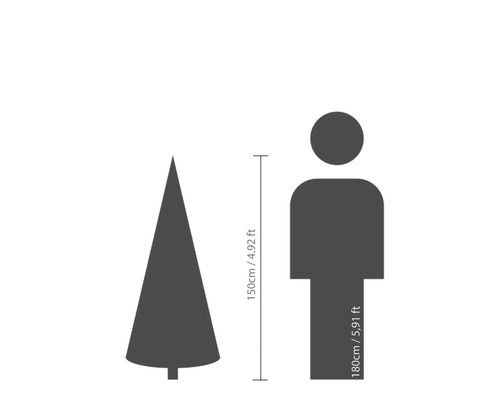 Storleksjämförelse: Träd (150 cm) och människa (180 cm)