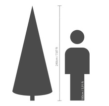 Storleksjämförelse: julgran (240 cm) och människa (180 cm)