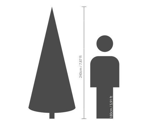 Storleksjämförelse: julgran (240 cm) och människa (180 cm)