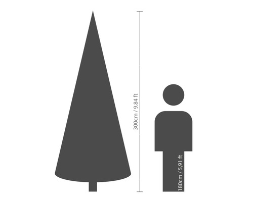 Storleksjämförelse: julgranshöjd 300 cm, personhöjd 180 cm